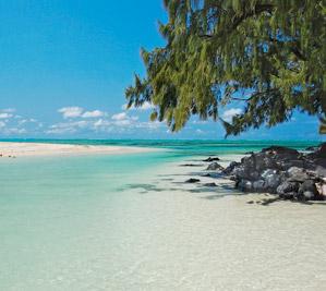 Ile Aux Cerfs